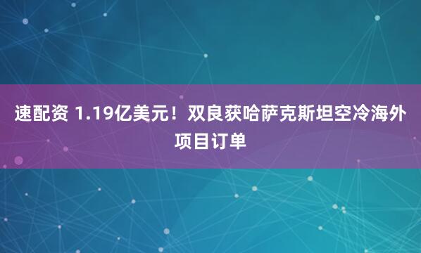 速配资 1.19亿美元!双良获哈萨克斯坦空冷海外项目订单