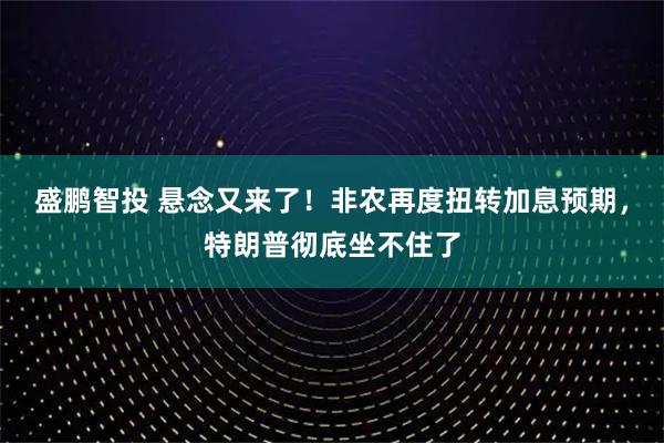 盛鹏智投 悬念又来了！非农再度扭转加息预期，特朗普彻底坐不住了